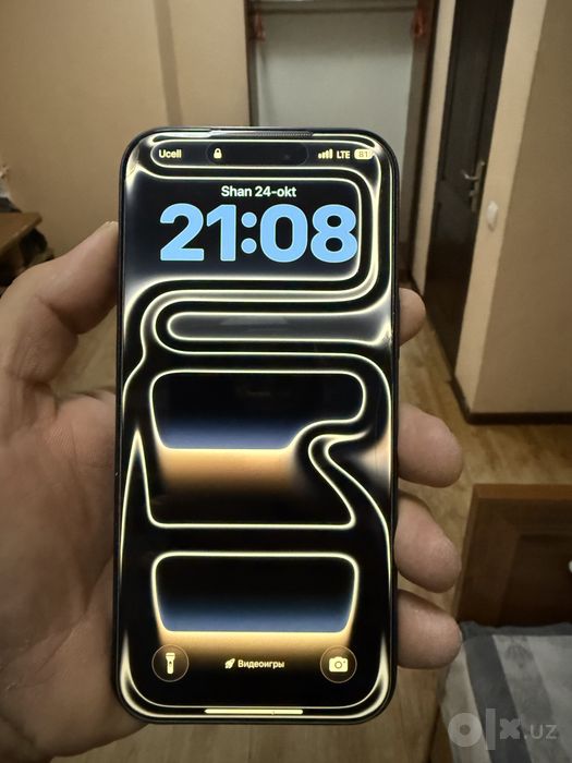 Apple  17 pro max