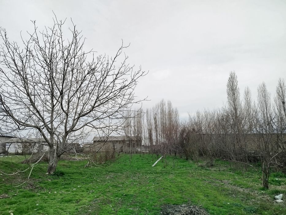 Участка 10 соток