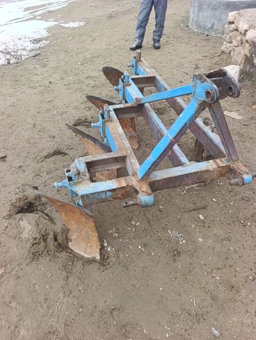 Pluk sotiladi narxi 6 milyon deyapman kami bor