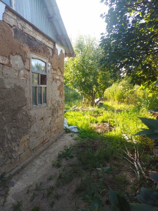 Сдам дачу с последующим выкупом