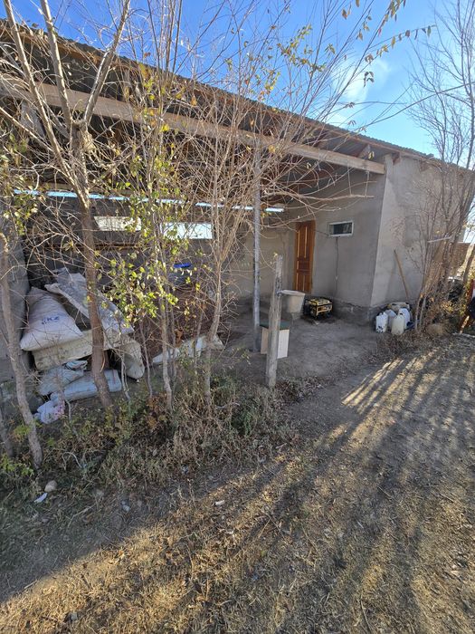 Фазенда мал шаруашылығына