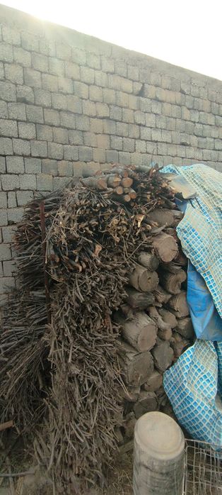 Отинлар сотилади нархи келишилади