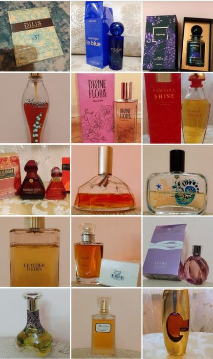 Роза амбра Камелия  Дзинтарс Цветы Украины