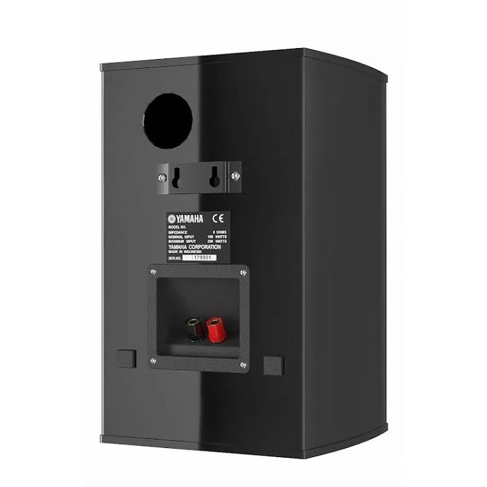 Yamaha NS-333, boxe de raft, primul proprietar