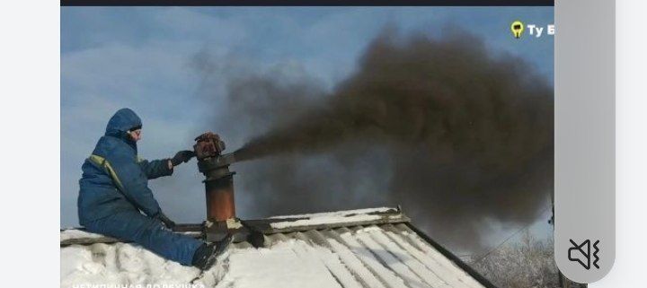 Mori tozalash xizmati