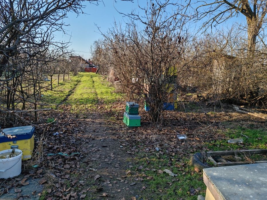 Casă vânzare, lângă baltă, Fulga de Sus - View 5
