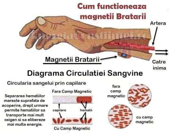 Brăţară magnetica terapeutică , placată cu aur de 18k