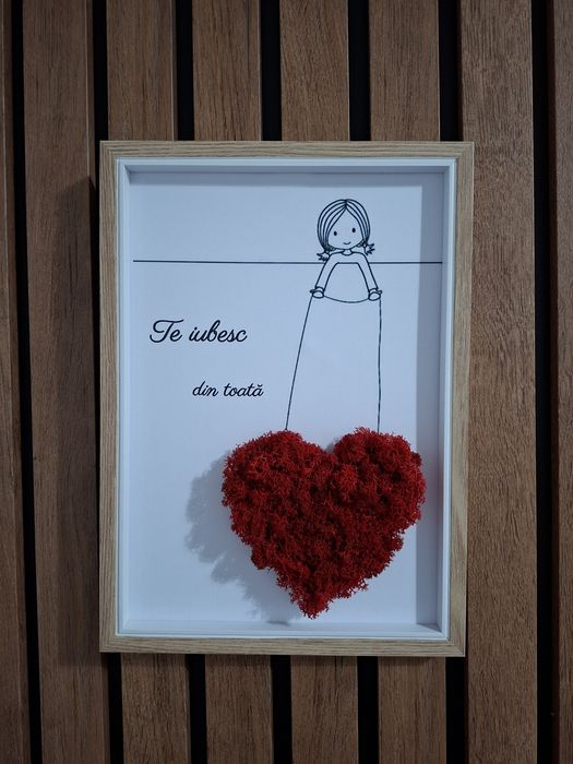 Colecție tablouri licheni