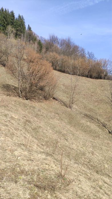 Teren intravilan de vanzare 5000mp2 Rucar-Arges