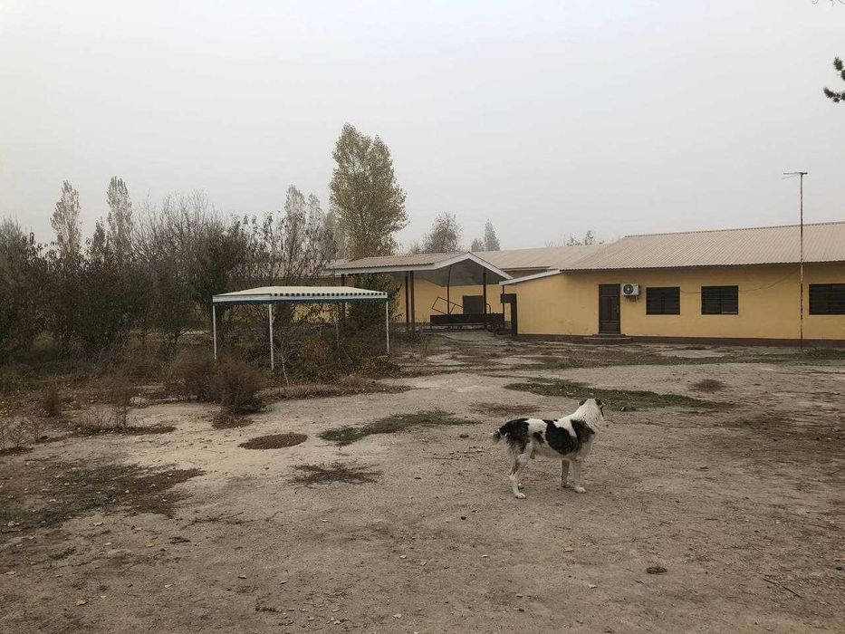 Коммерческое помещение в аренду