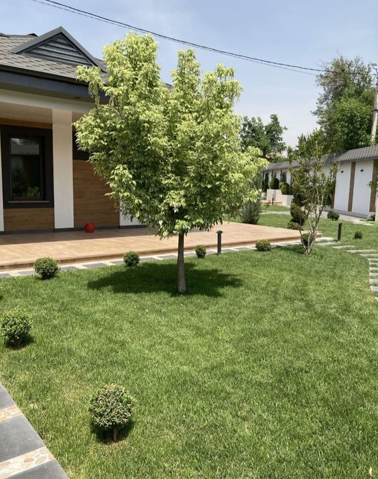 Газон посевной с Горантией