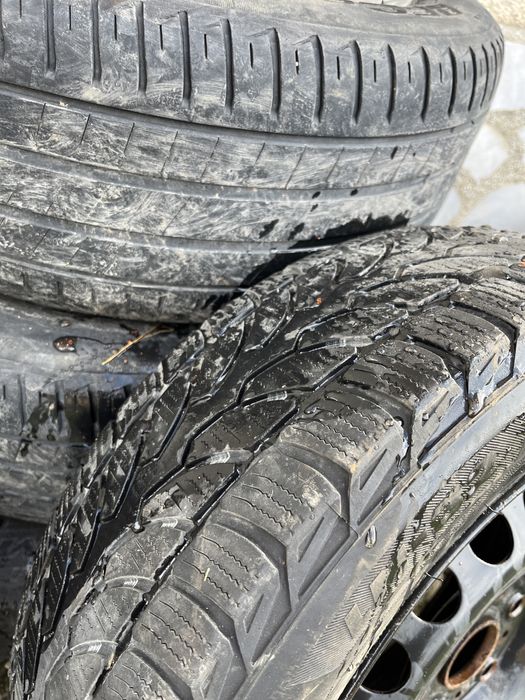 Barum polaris 3 195 65 15 91H