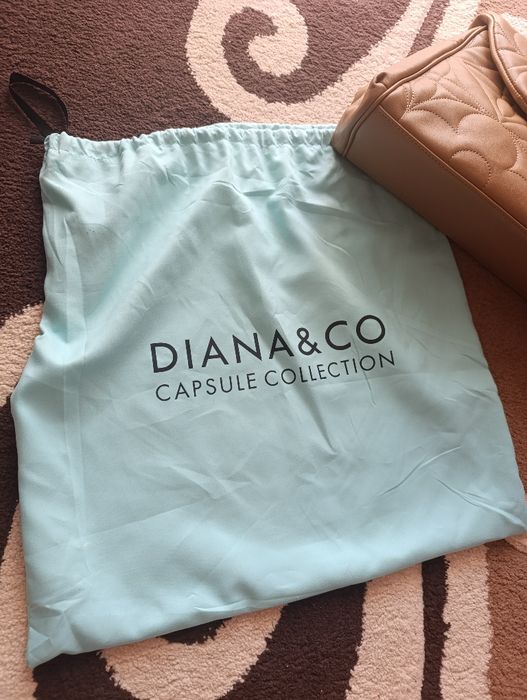 Poșetă Diana&Co + husă depozitare