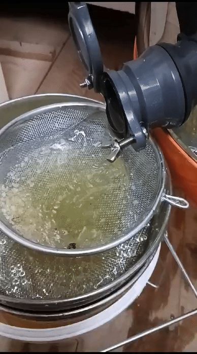 Miere 100% Naturala din Stupina Proprie Sibiu • Livrare la Domiciliu