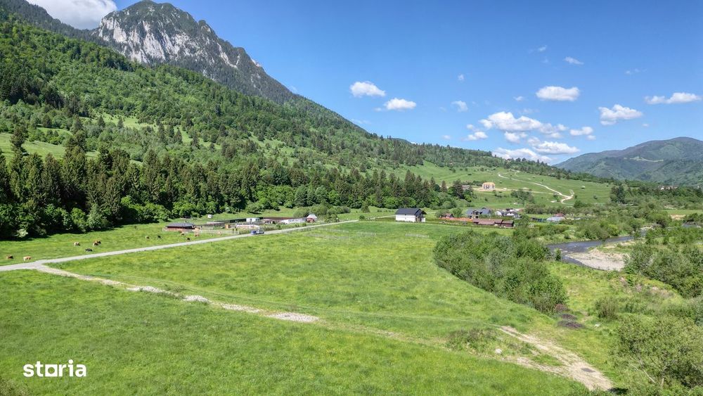 Teren intravilan In Zarnesti zona Plaiul Foii, asfalt si priveliste