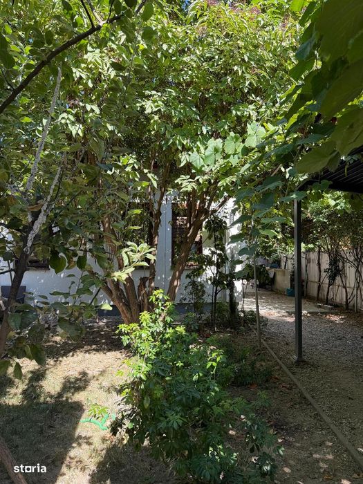 Inchiriere casa 4 camere 91mp curte 300mp gradina Cotroceni Medicina