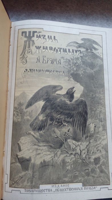 Брэм Жизнь Животных для юношества 1900 год