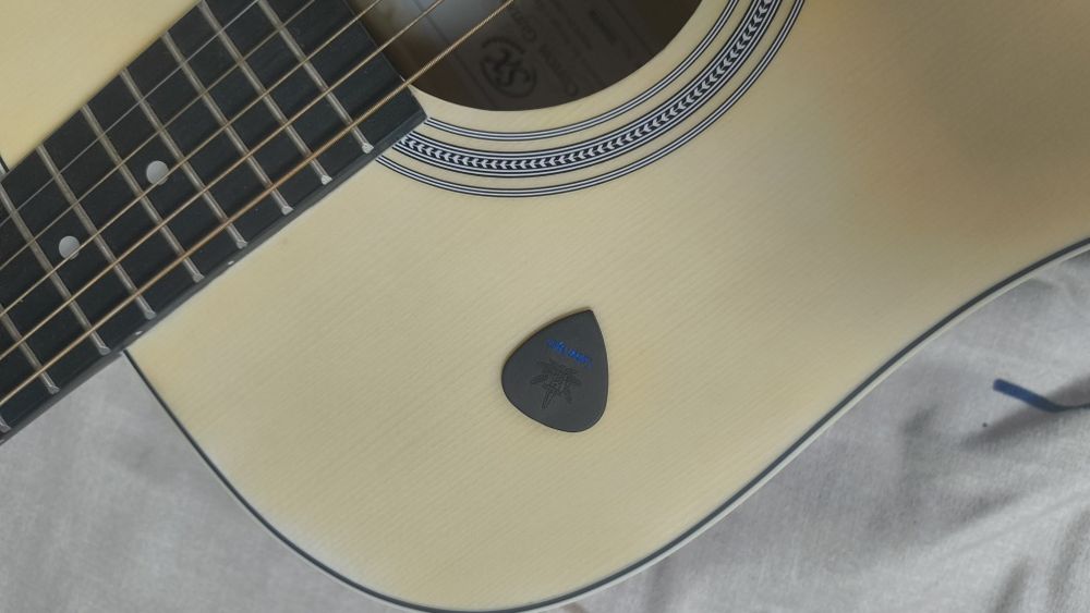 Chitară acustică SX