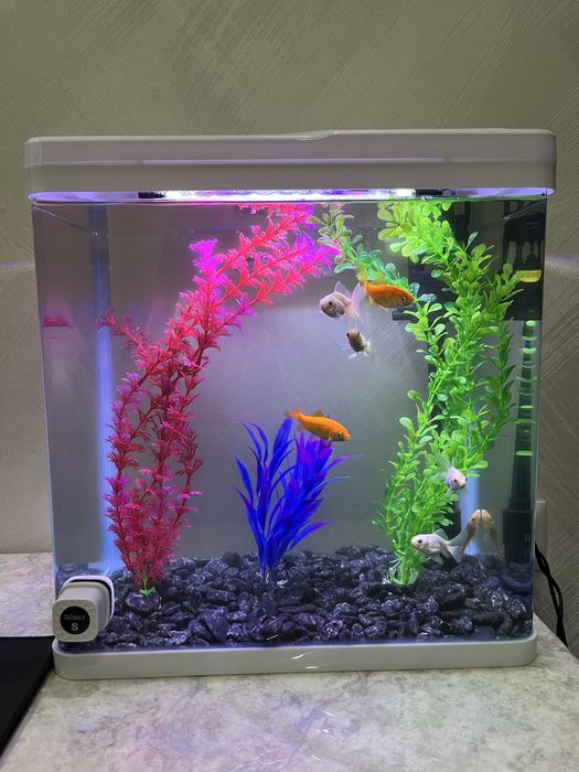 Хитой куйма акриловий аквариум 30 литр баликлари билан