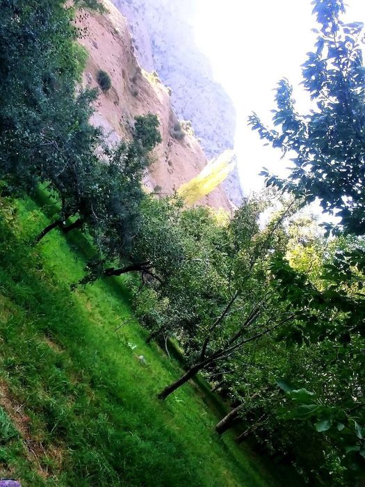 Бустонлик уй арзонга