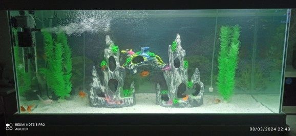 Akvarium hamma narsasi bilan sotiladi tayor