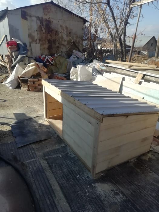 Продажа собачих буток утеплёных