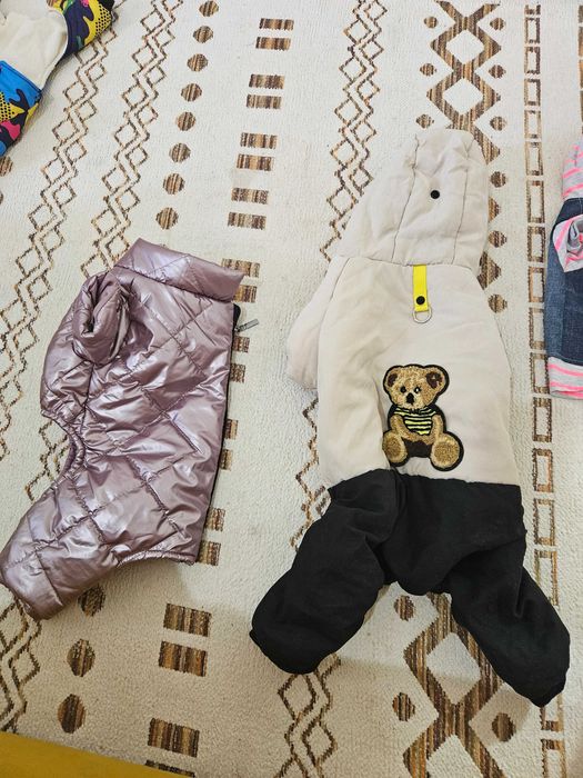 Одежда для собак