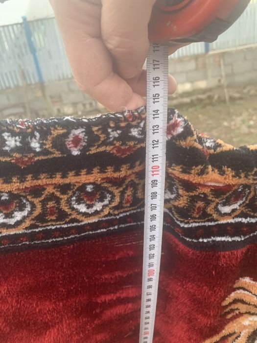 Carpeta Rapirea din Serai si Carpeta pisoiasi