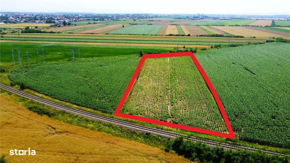 Teren extravilan - 5.000 m² in Botiz | 3 km de Satu Mare