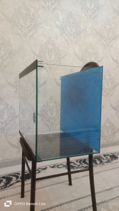 Аквариум для риб