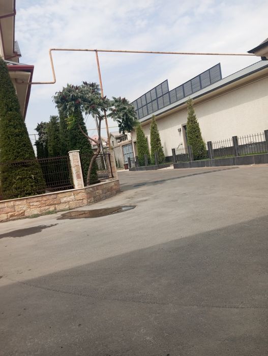 Bogʻbonchilik daraxtga ishlov berish