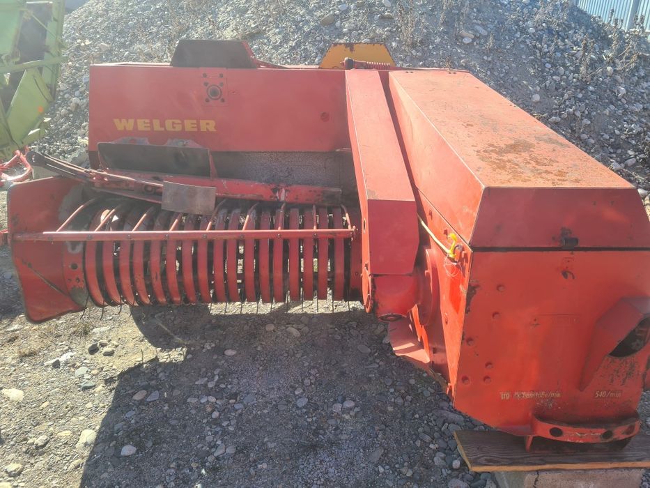 Буроям , ямобур Lisicki (Польша)