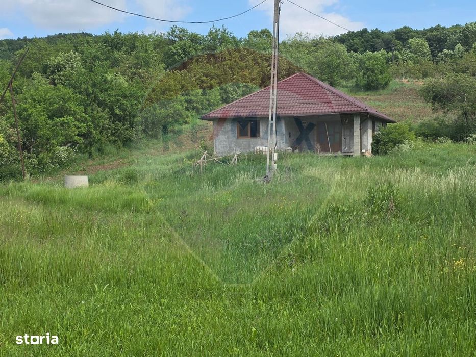 Casă la roșu cu teren 4.234 mp, cadru natural deosebit – Deag, Iernut