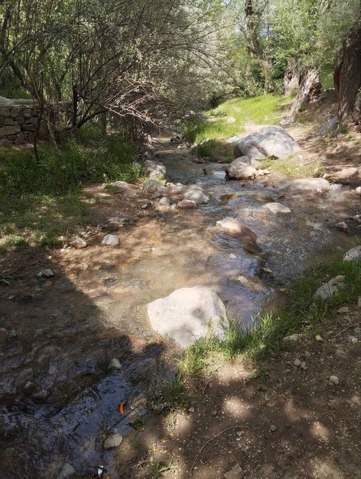 Yashil tabiatga sayohat (mayofka) xizmati