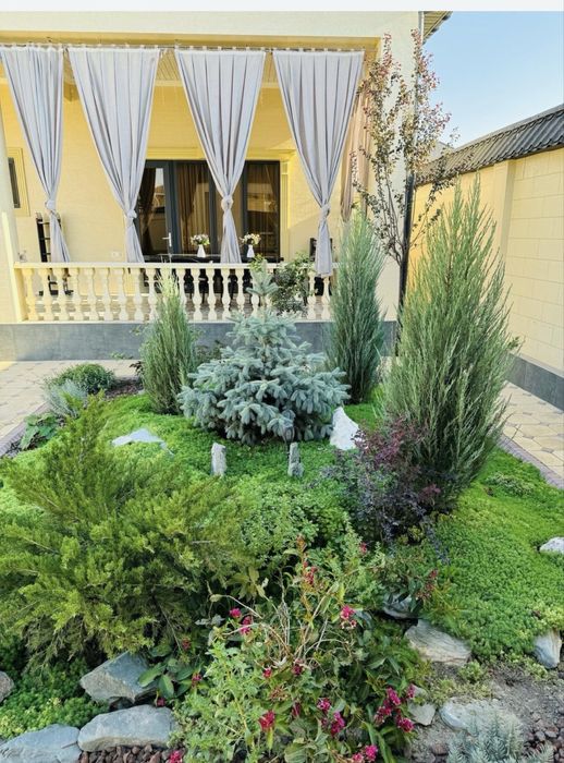 Газон газон газон