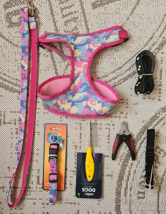 Acesorii pentru caini