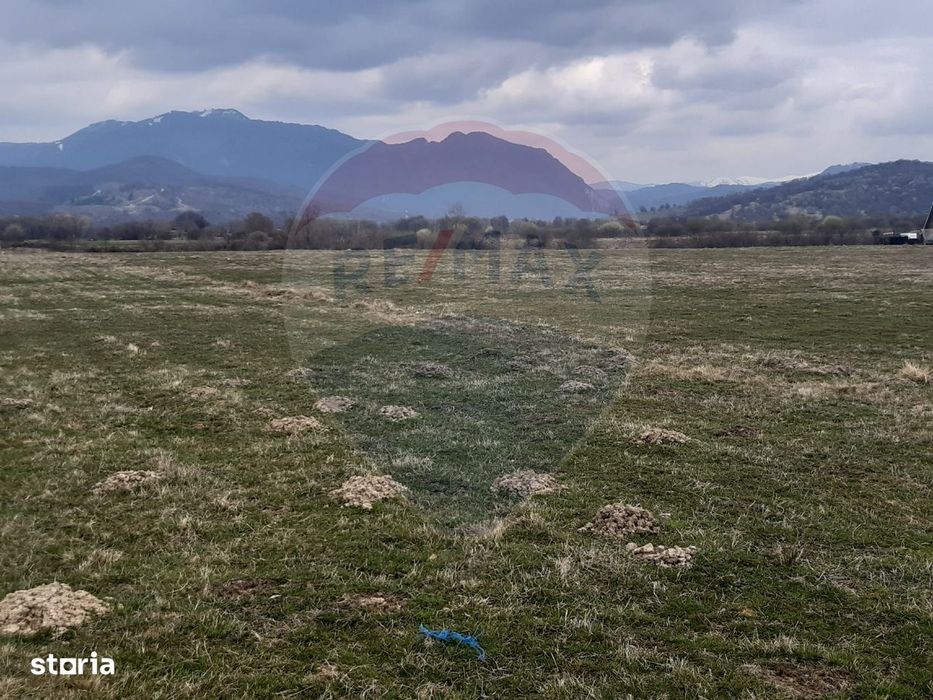 Teren 10,000mp Rasnov / Drumul Panicel
