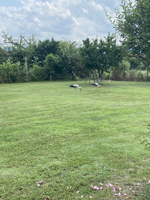 Косене и Поддръжка