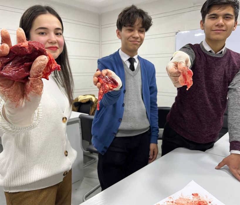 Учебный центр / репетитор биологии / биология / биолог / медицина