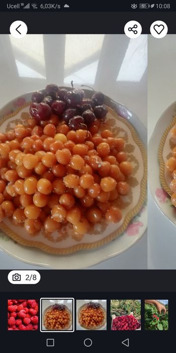 Черешня малина Шпанка