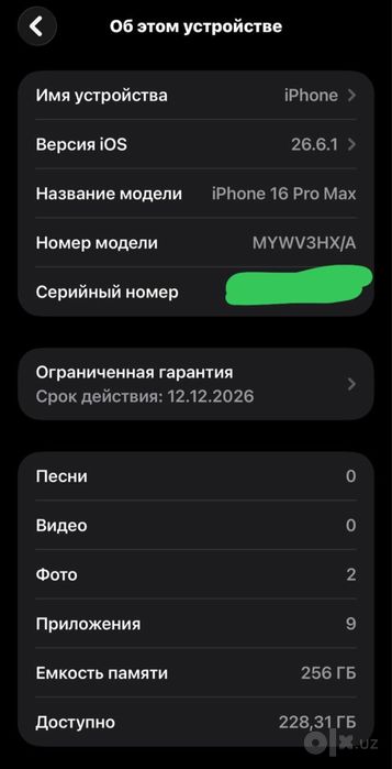 iPhone 16 pro max