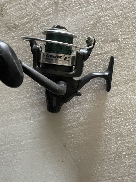 Mulineta in stare perfecta