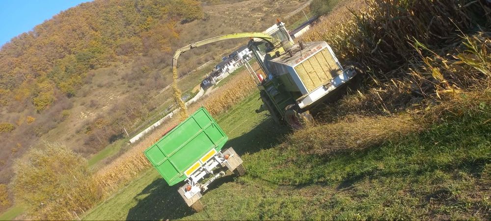 Prestări servicii de tocat siloz porumb