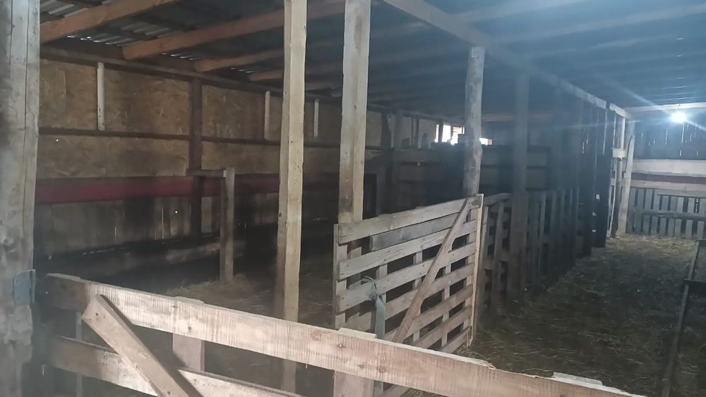 Продам хозяйство для ЛПХ