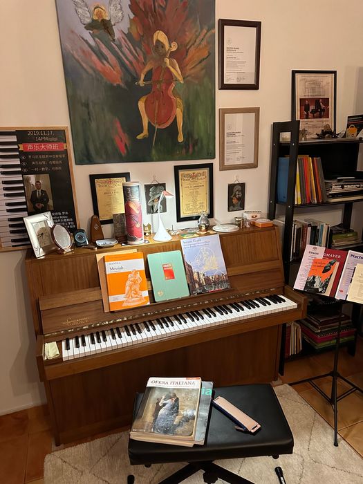 Lecții de pian, canto clasic și teorie muzicală pentru elevii de toate vârstele