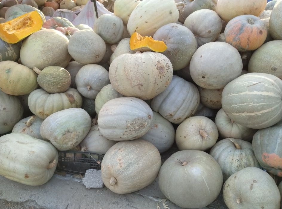 Продавам семена бели тикви и цигулки