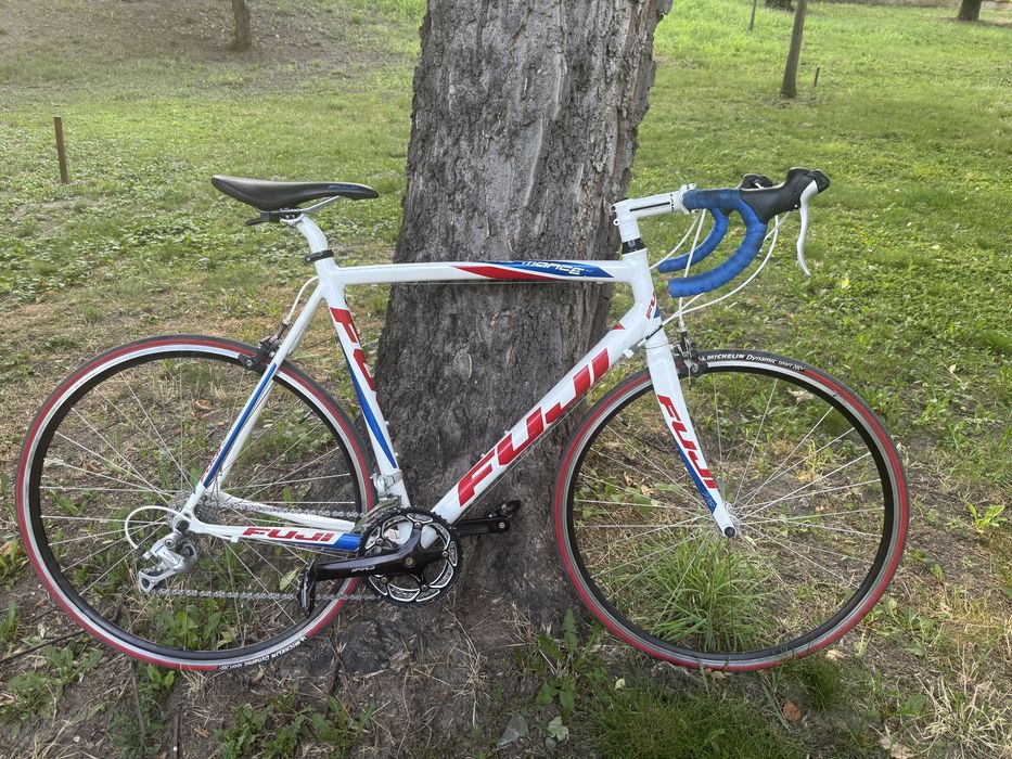 Cursiera Pegas profesionala 58 cm L