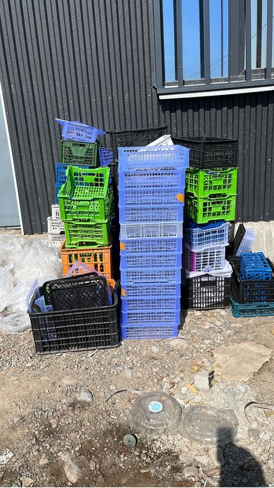 Даром! Бесплатно! Отдам  ящики разных размеров