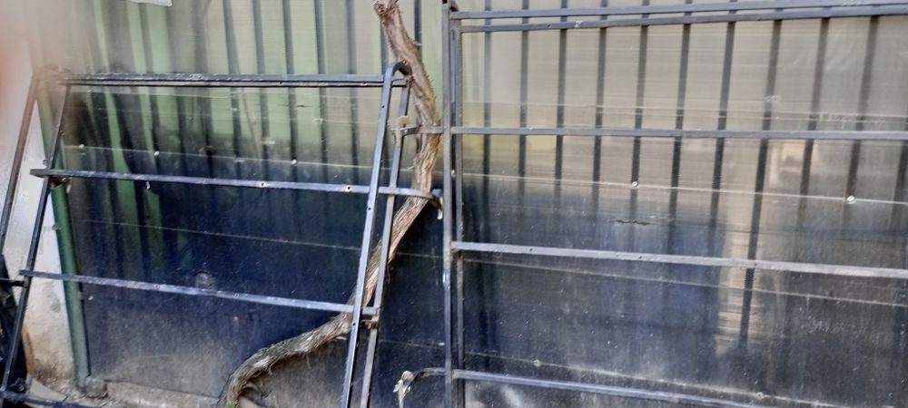 Vând portbagaj pentru microbuz din două bucăți