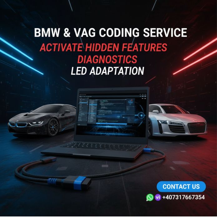 Codari profesionale VAG&BMW